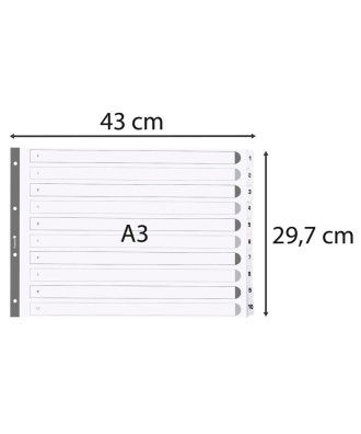 Intercal.carte blanche A3 10pos. 1-10