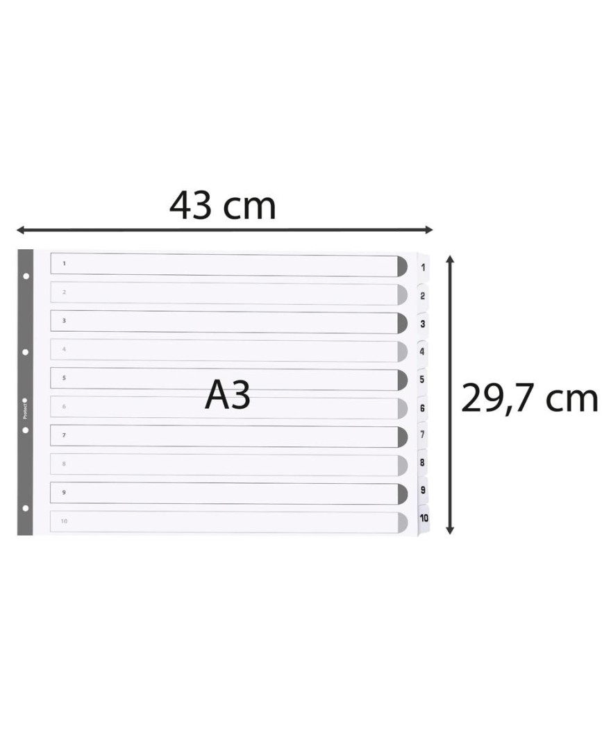 Intercal.carte blanche A3 10pos. 1-10