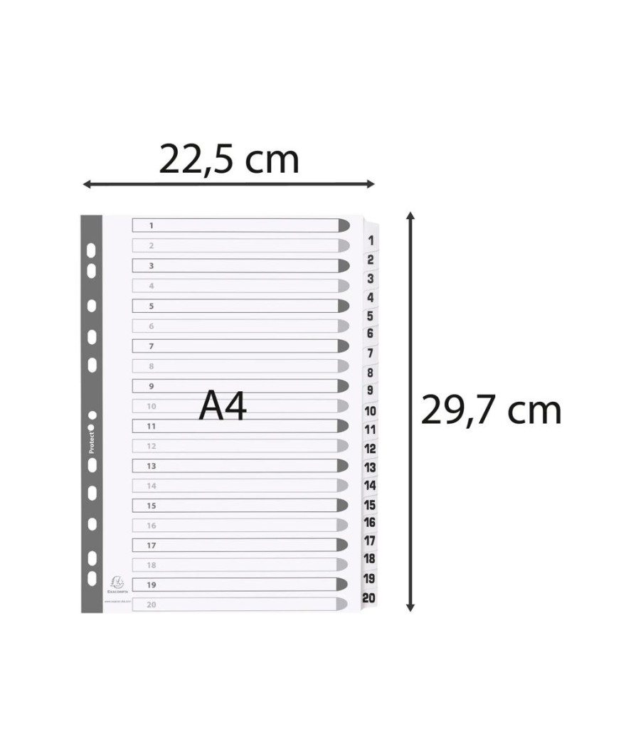 Intercal.carte blanche A4 20 Pos.1-20