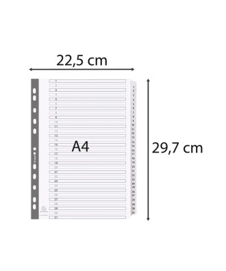 Intercal.carte blanche A4 31 Pos. 1-31
