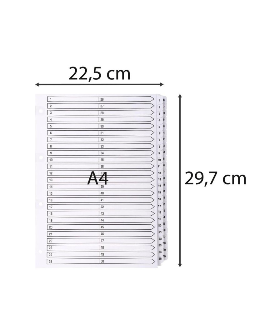 Intercal.carte blanche A4 50 Pos.1-50