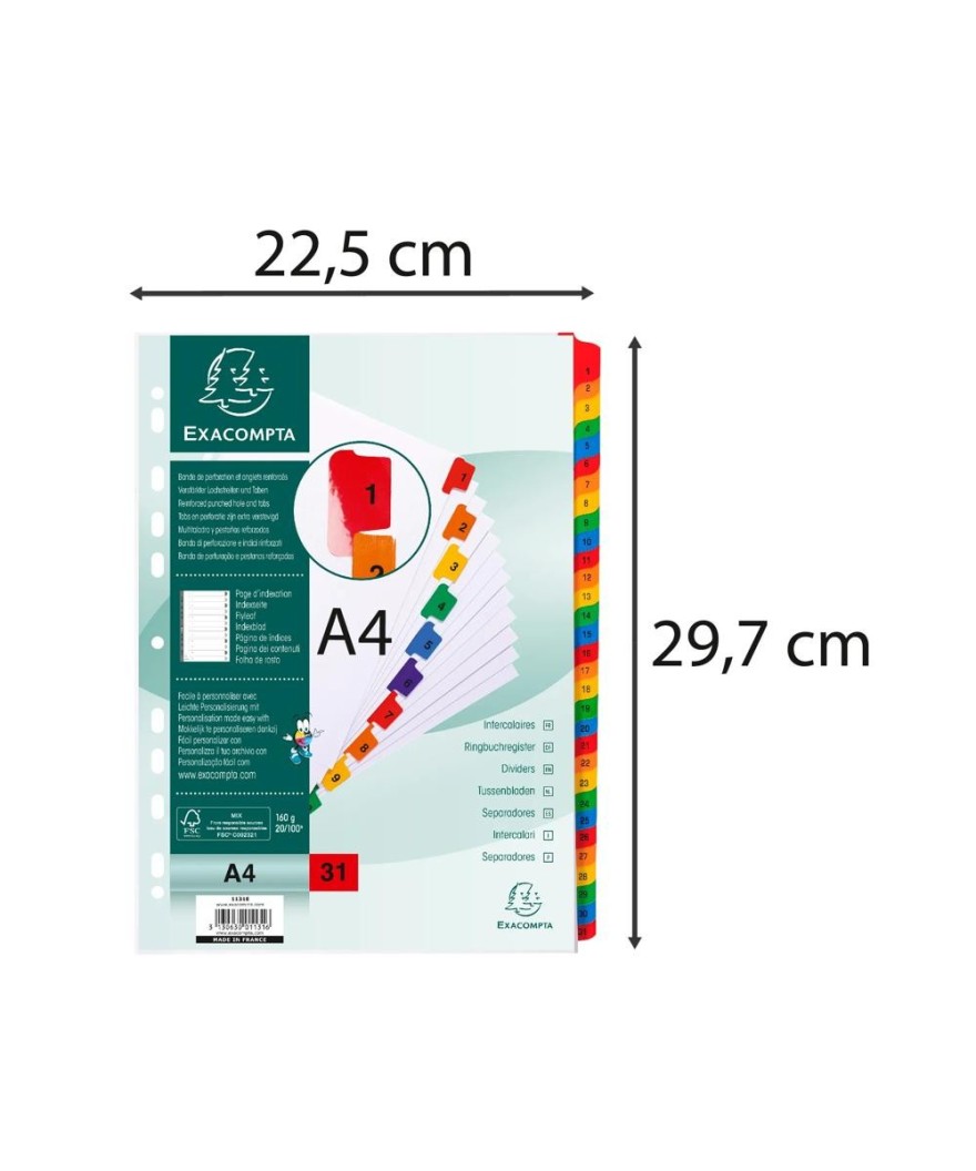 Intercal.31P A4 carte bl.+ongl.coul.imp
