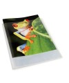 Porte-Vues Chroma KC A4 40V Cristal