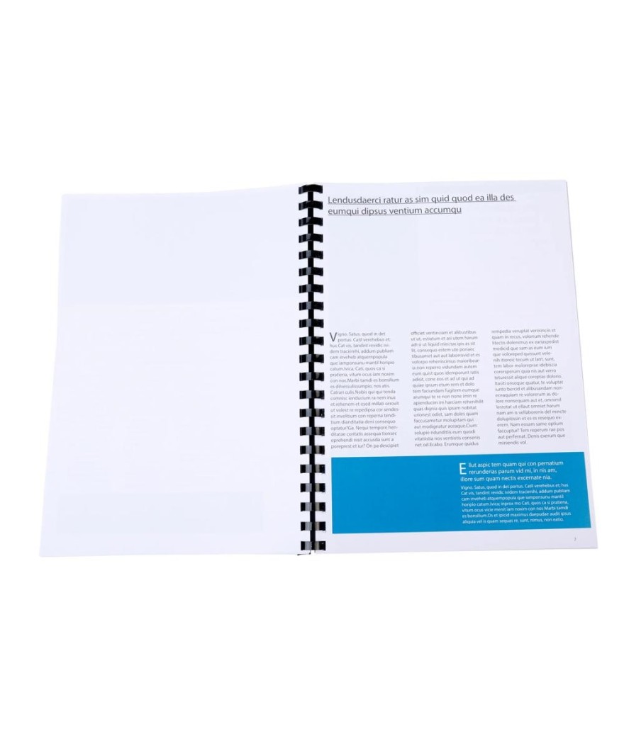 Boite 100 peignes plastique 20mm A4 noir