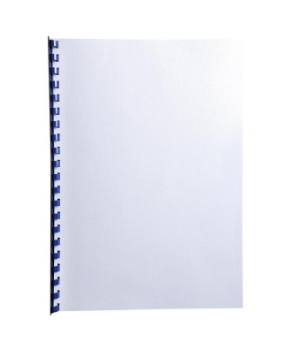 PK 100F FOREVER BLANC LINEN A4 270G