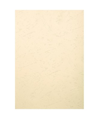 PK 100F FOREVER IVOIRE A4 270G