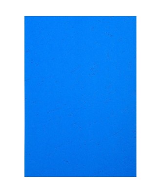 PK 100F FOREVER BLEU A4 270G