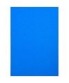 PK 100F FOREVER BLEU A4 270G