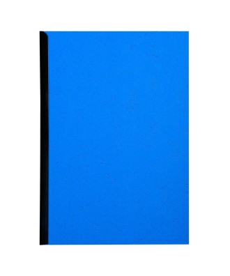 PK 100F FOREVER BLEU A4 270G