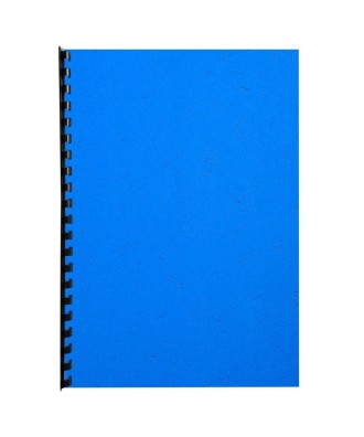 PK 100F FOREVER BLEU A4 270G