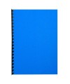 PK 100F FOREVER BLEU A4 270G