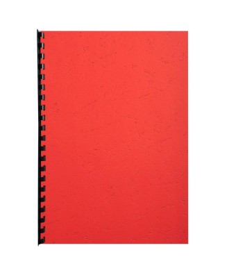 PK 100F FOREVER ROUGE A4 270G