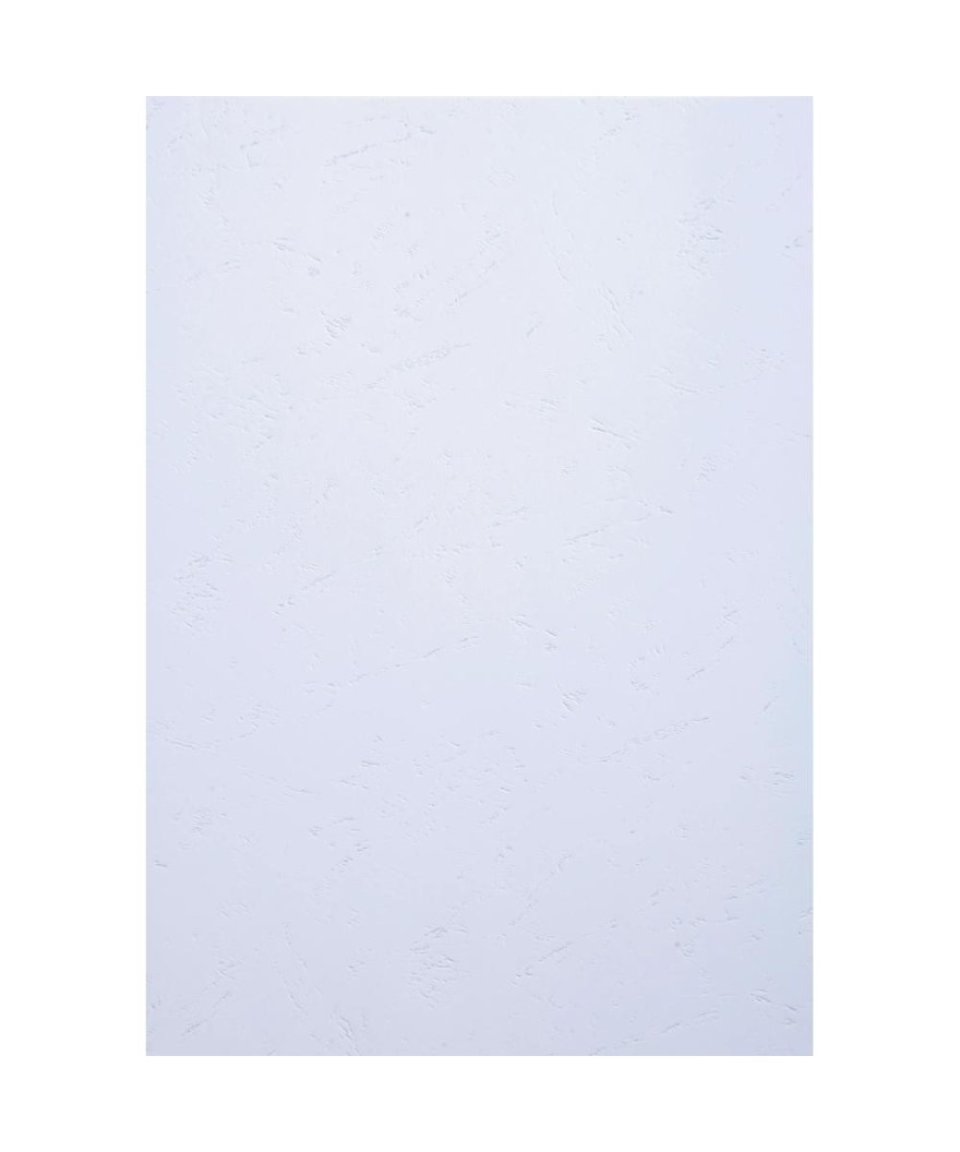 PK 100F FOREVER BLANC PREMIUM A4 270G