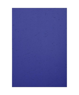 PK 100F FOREVER BLEU foncé A4 270G