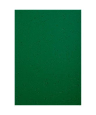 PK 100 couvertures FOREVER Vert A4 270G