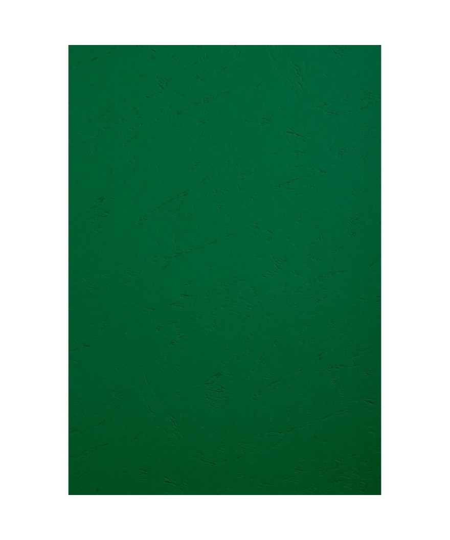 PK 100 couvertures FOREVER Vert A4 270G