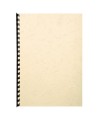 PK 100F FOREVER IVOIRE A3 270G