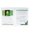 Sach. 10 chem. dble poche PP A4/A3 Trans