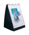 EXASHOW A3 Porte-vues 4anx 30mm