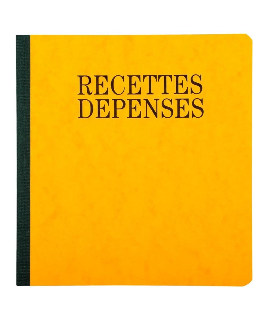 PIQ. 21/19 RECETTES-DEPENSES 80p.