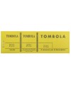 Bloc Tombola 3Vol.couleurs 4,8X15 Ass.