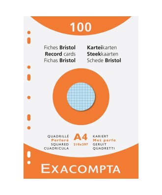 ETUI 100 F.BRISTOL ASS 210/297 5X5 PERF