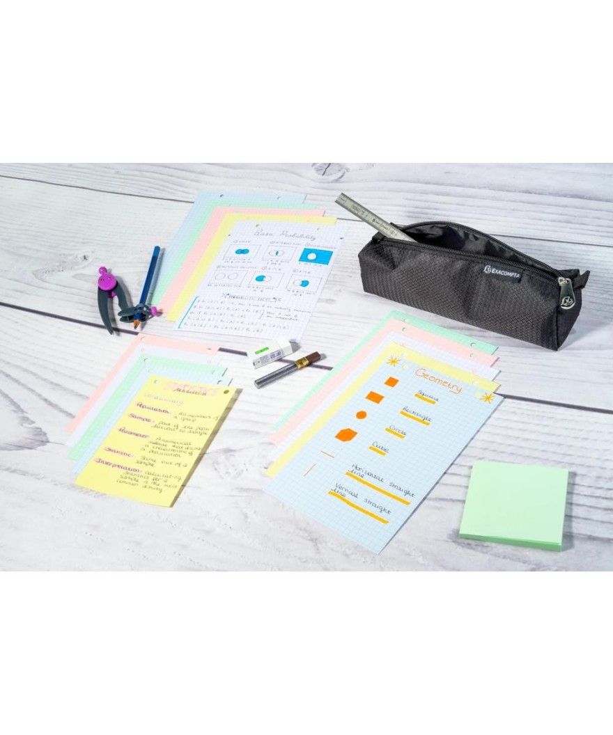 ETUI 100 F.BRISTOL ASS 210/297 5X5 PERF