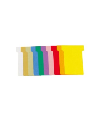 PQT 1000 FICHES EN T 60X85 N° 2  ASS,
