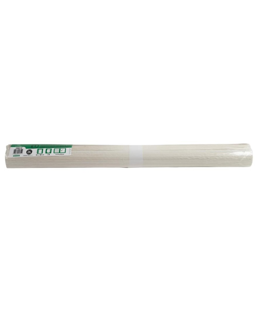 Recharge papier recyclé 60g 50F. unies