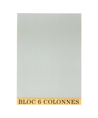 BLOC COMPTABLE 29,7/21 6 Col. 70Fls.