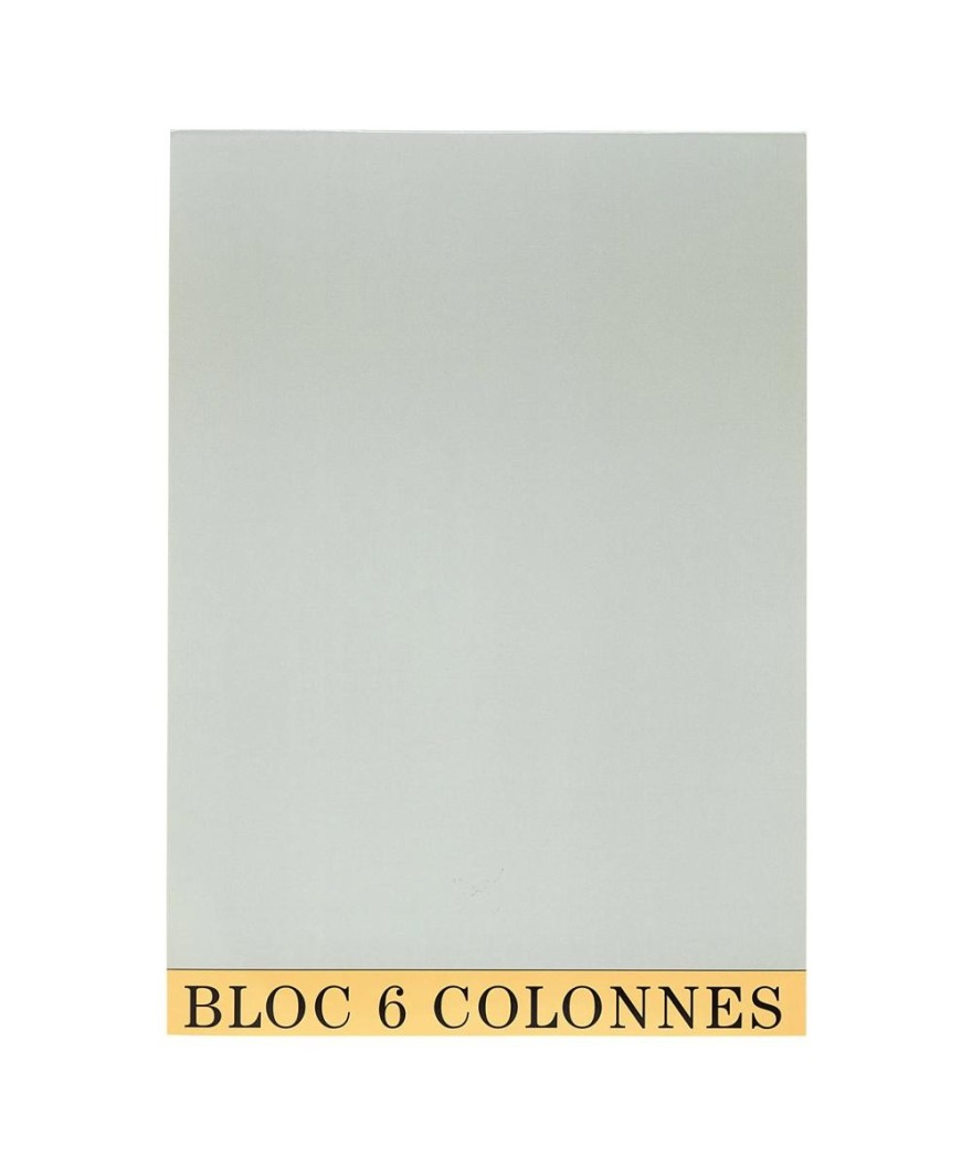 BLOC COMPTABLE 29,7/21 6 Col. 70Fls.