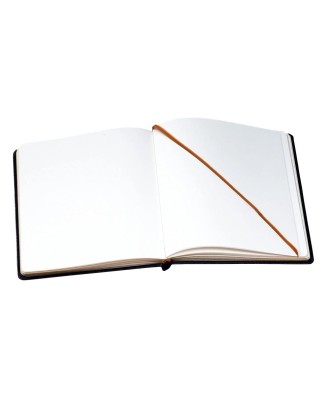 Livre d'or cuir Alpille 26X22 noir +/t