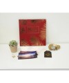 Album livre 30p.noir 25x25cm PALMA rouge