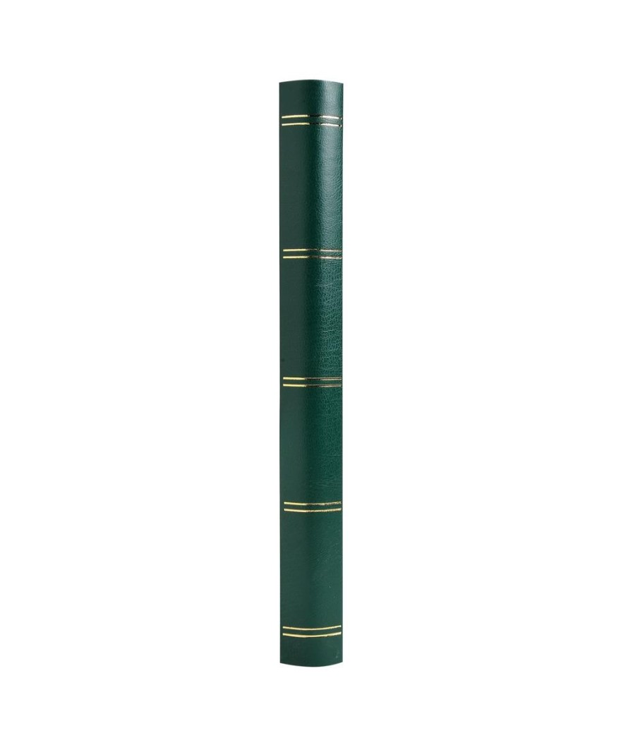 ALB.TIMB. 30,5X22,5 Simili cuir Vert 48p