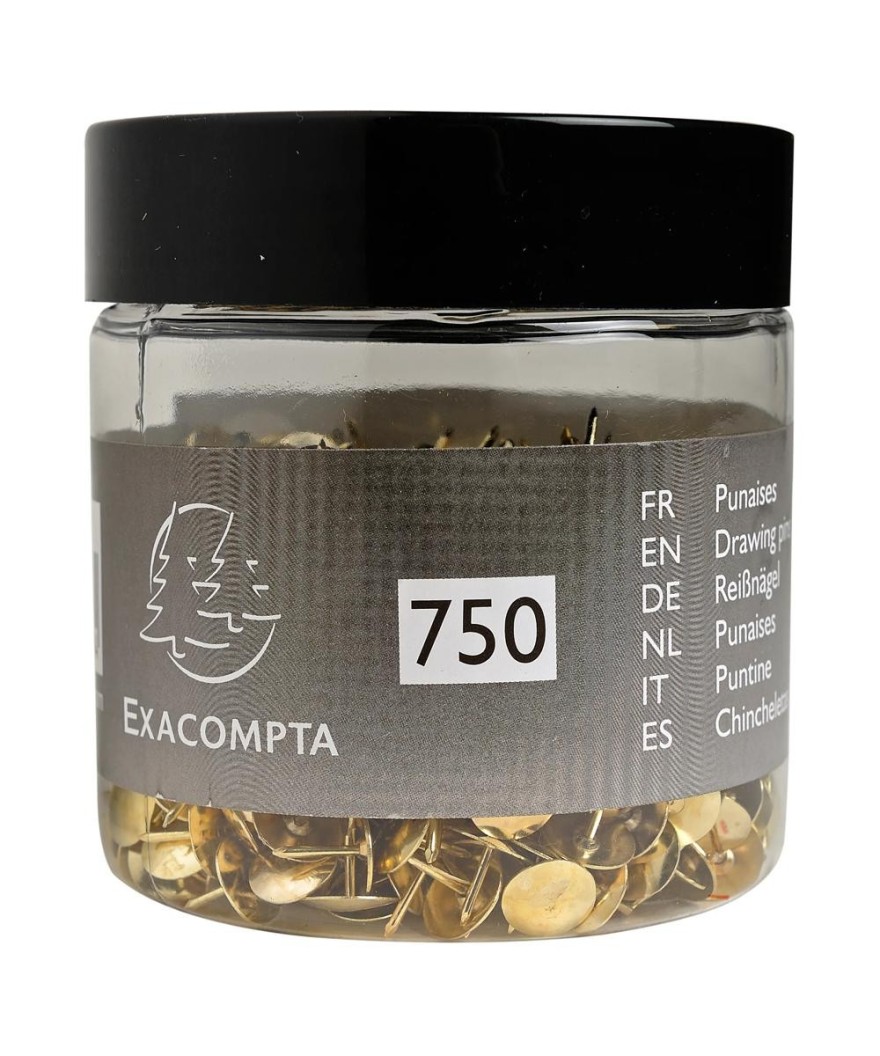 Boîte 750 Punaises Laiton 9,5mm